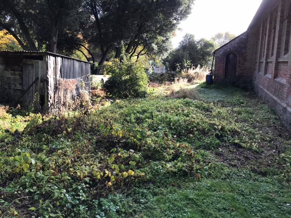 Overgrown grounds beside a brick building and an old timber shed